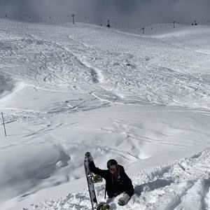 Meet your Posher, Timmy